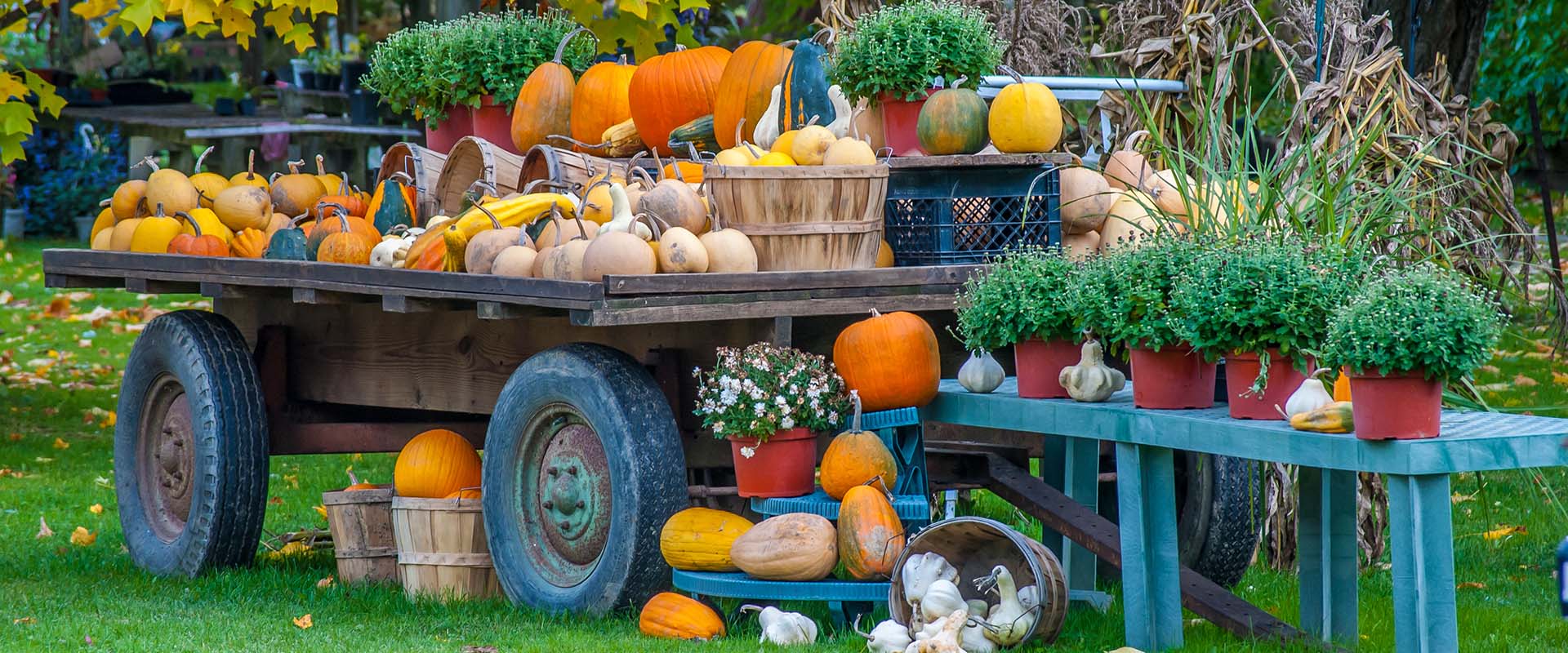 Harvest Time in the United States